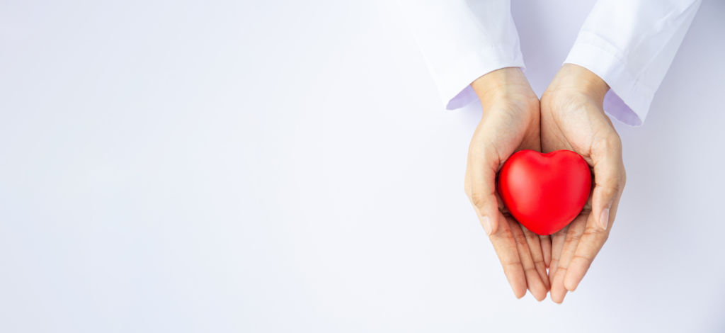 Woman doctor hands holding red heart on wide white background donate for hospital care concept. Panoramic world heart day and world health day, CSR community, foster support patient.- visual effect imagery